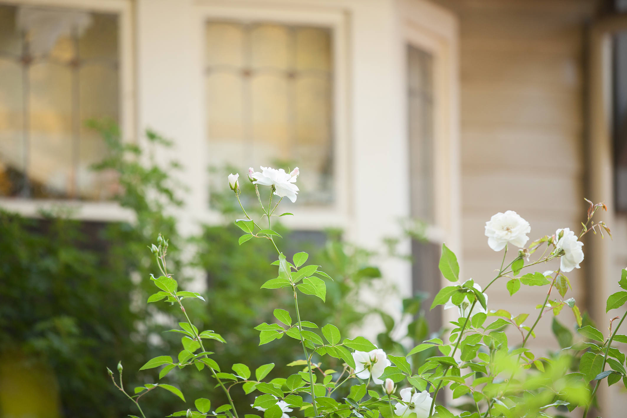 Private Health Insurance Rebate